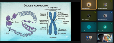 Снимок экрана 864